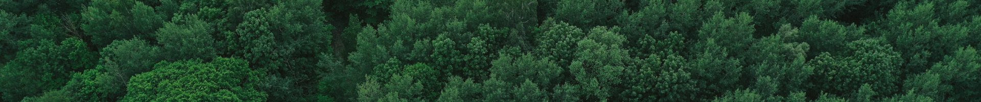 Bird's-eye view. Landscape from above